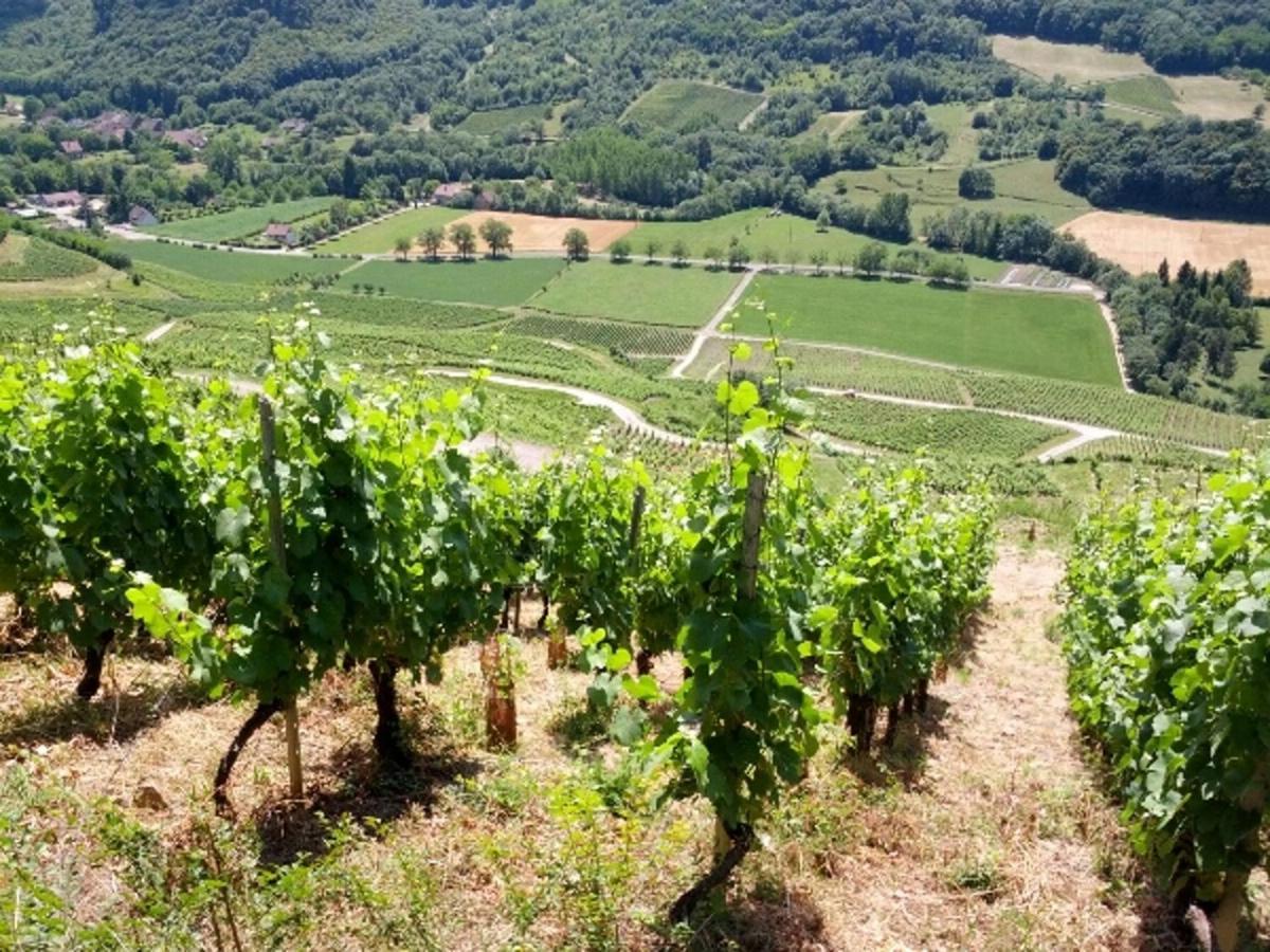 Au Bord De Seille Villa Nevy-Sur-Seille Bagian luar foto